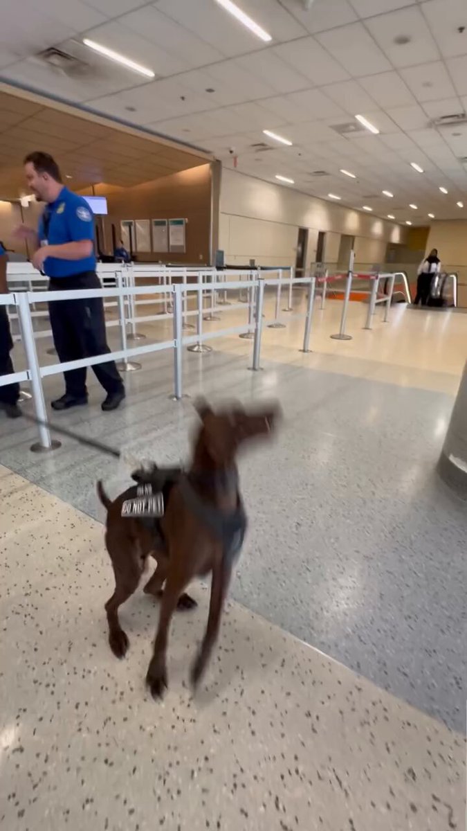Stored still for @TSA