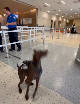 @TSA