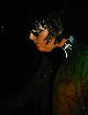 Andy Rourke