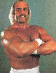 Hulk Hogan