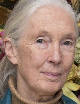 Jane Goodall